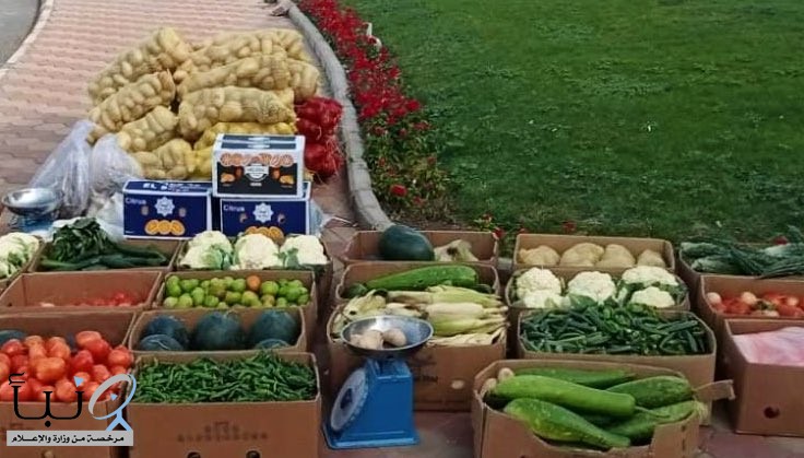 بلدية الشوقية الفرعية تضبط 300 كجم من الخضروات والفواكه