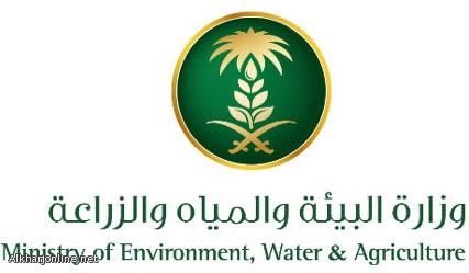 زراعة الخرج تعدم أكثر من 400 ألف دجاجة في احد المشاريع المصابة بانفلونزا الطيور زراعة الخرج تعدم أكثر من 400 ألف دجاجة في احد المشاريع المصابة بانفلونزا الطيور