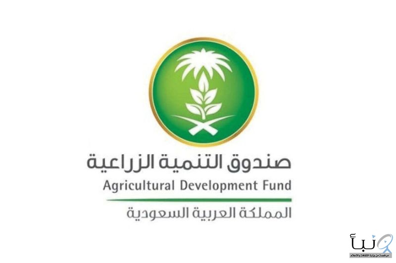 عن تربية الماشية صندوق التنمية الزراعية يُقدِّم توضيحًا عن تربية الماشية صندوق التنمية الزراعية يُقدِّم توضيحًا