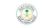 حظر التسويق عبر الهاتف واتصال المندوبين بالمنازل