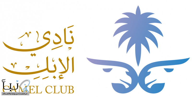 نادي الإبل في المملكة يواكب اليوم العالمي للإبل بمجموعة من الأنشطة والفعاليات على مدار العام