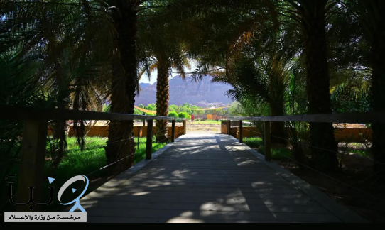 واحة "‫ديمومة‬".. إحدى أبرز ‫المواقع التي يقصدها زوار العلا في فصل الصيف