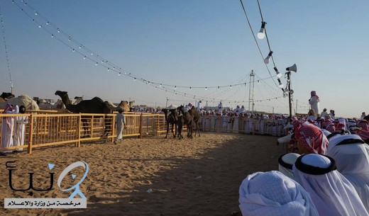 انطلاق #مهرجان_مزاد_الإبل الأول في نجران