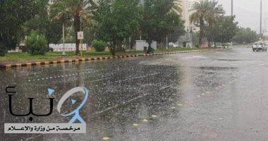 الأرصاد تحذر من هطول أمطار على المدينة المنورة