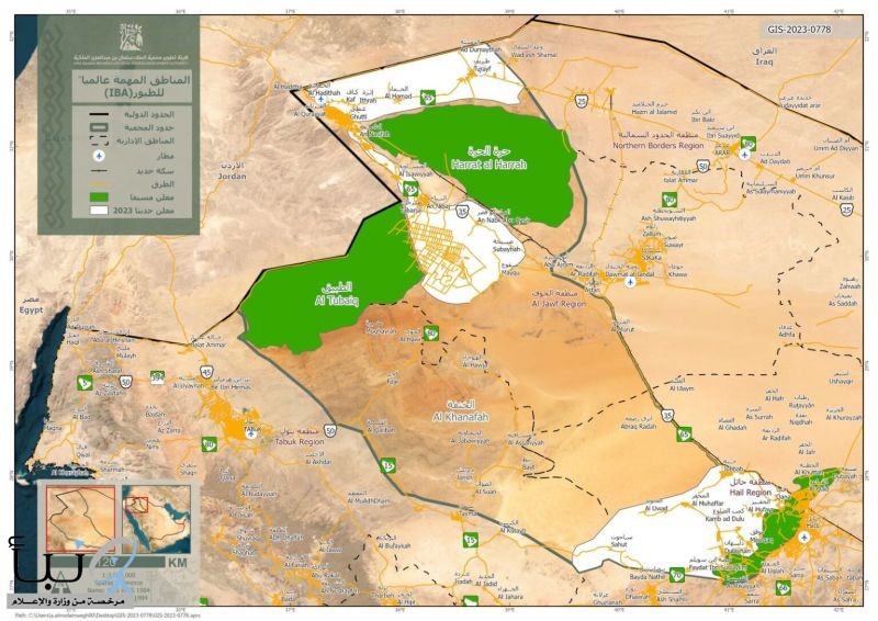 هيئة تطوير محمية الملك سلمان بن عبد العزيز الملكية تعلن مناطق جديدة مهمة للطيور عالمياً داخل حدودها هيئة تطوير محمية الملك سلمان بن عبد العزيز الملكية تعلن مناطق جديدة مهمة للطيور عالمياً داخل حدودها