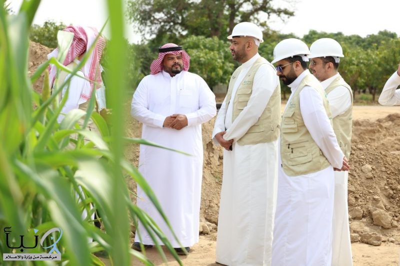 "ريف السعودية" يدعم مزارعي المحاصيل البعلية بأكثر من (36) مليون ريال