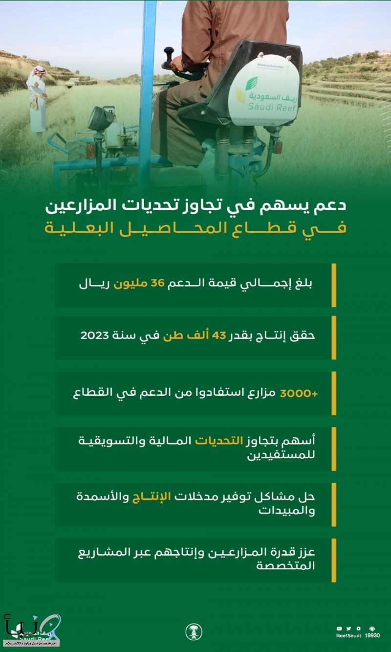 "ريف السعودية": أكثر من 3 آلاف مزارع في قطاع المحاصيل البعلية استفادوا من الدعم لتجاوز تحدياتهم المالية والتسويقية