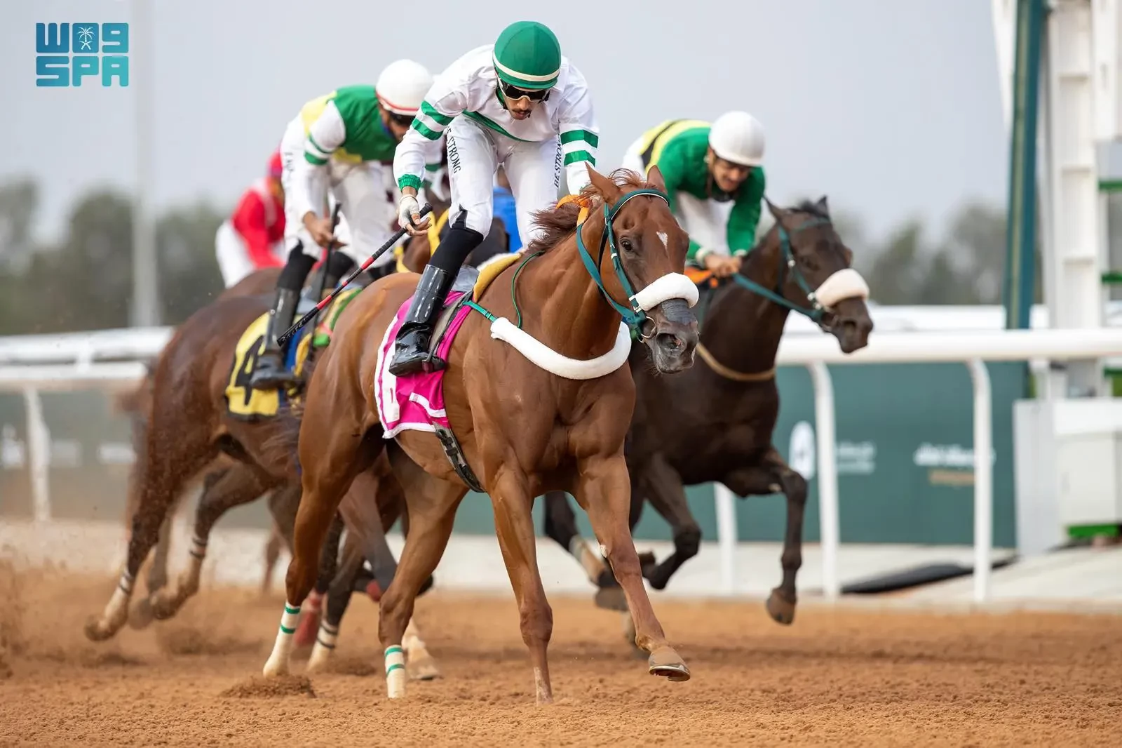 نادي سباقات الخيل للفروسية يقيم منافسات الأسبوع الثامن من سباقات الطائف الصيفية