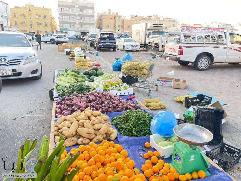 أمانة الشرقية: حملة مشتركة على الباعة المخالفين في صناعية دله وحي المنار والضباب بالدمام تسفر عن ضبط 15 طن من المتروكات