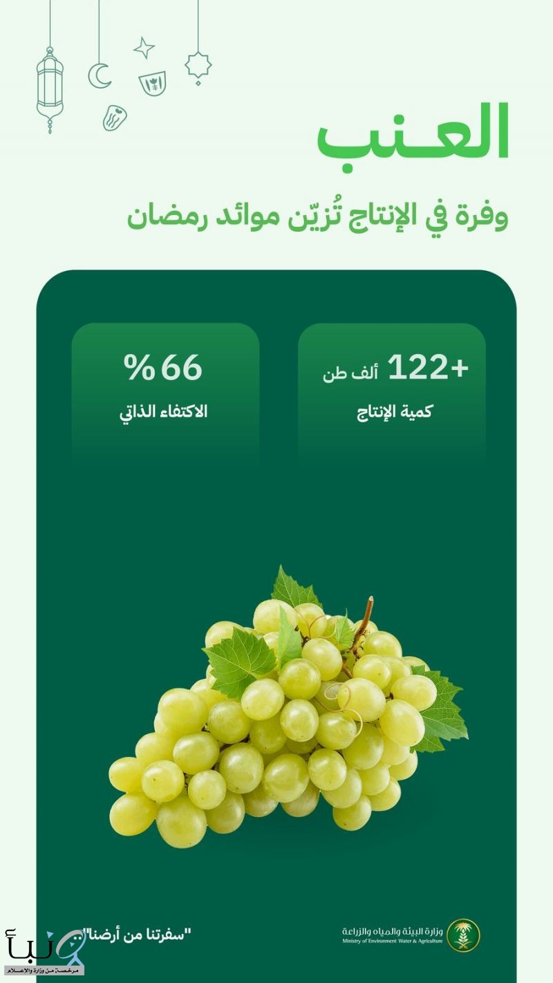"البيئة": وفرة في إنتاج العنب المحلي يتجاوز (122) ألف طن سنويًا واكتفاء ذاتي يصل إلى (66%)