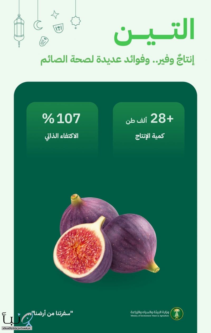 "البيئة": التين المحلي يلبي احتياجات السوق بإنتاج يتجاوز (28) ألف طن سنويًا ونسبة اكتفاء ذاتي (107%)