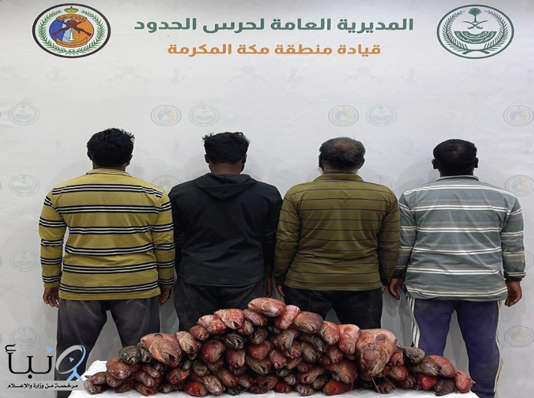 القبض على (4) مقيمين مخالفين للائحة الأمن والسلامة لمزاولي الأنشطة البحرية في المناطق البحرية للمملكة