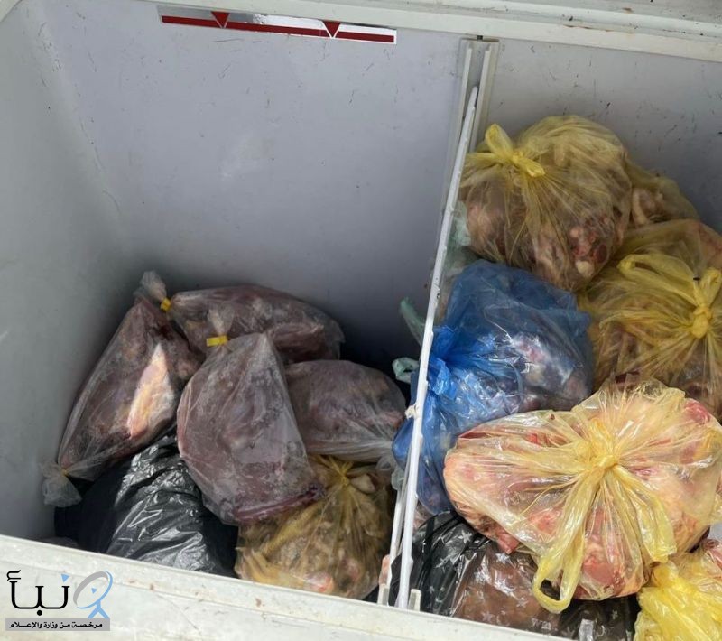 أمانة جدة تُغلق موقع مخالف  يُمارس الذبح العشوائي للدواجن وسط حي سكني