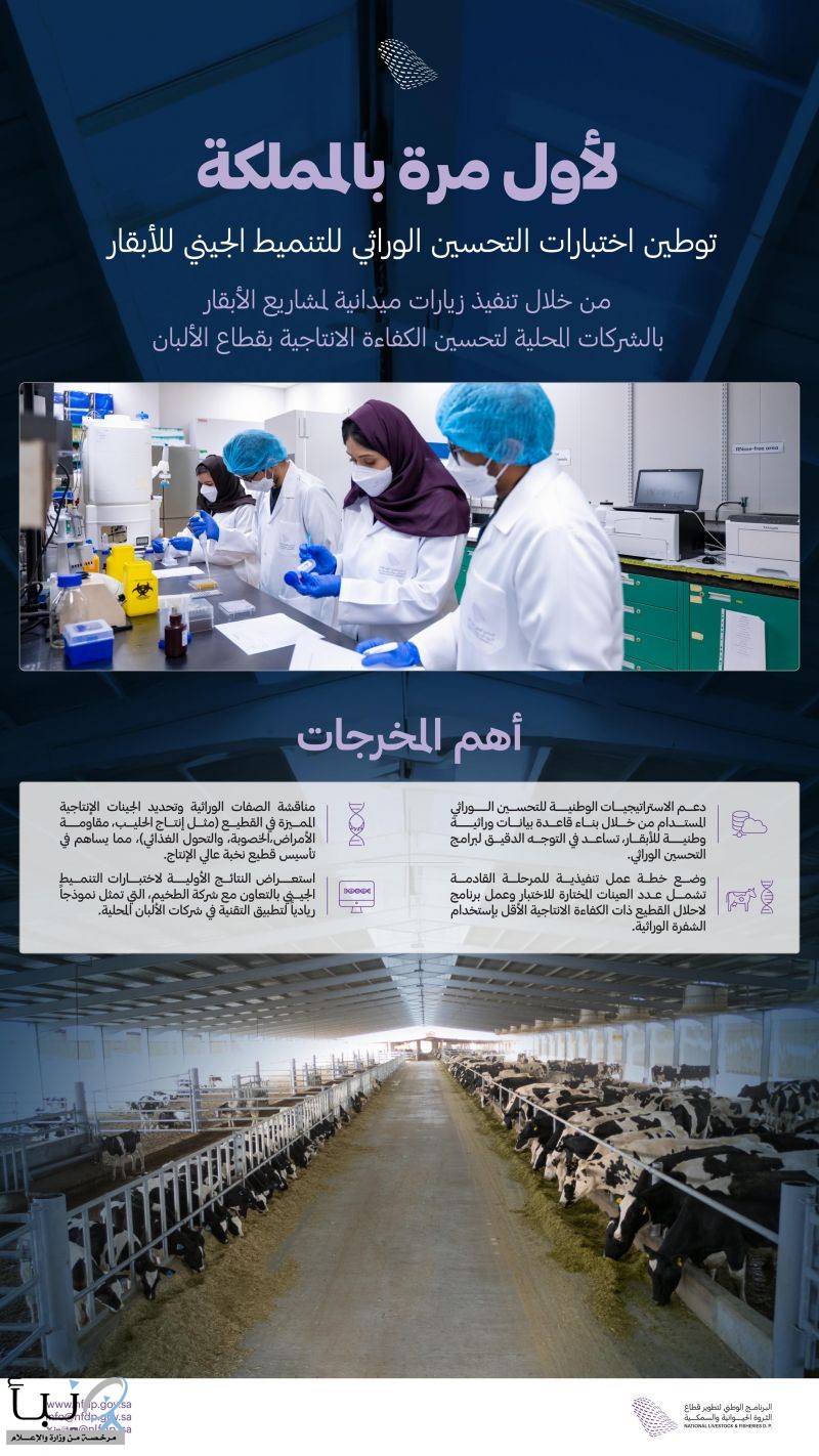 للمرة الأولى في المملكة.. "الثروة الحيوانية والسمكية" ينجح بالتعاون مع القطاع الخاص في توطين اختبارات التحسين الوراثي لرفع إنتاجية الأبقار
