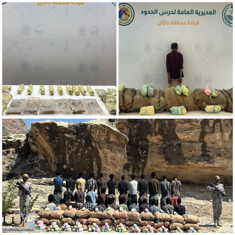 #حرس_الحدود يحبط تهريب 850 كجم من القات والحشيش المخدر