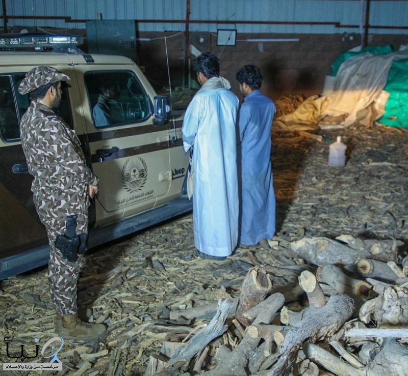 “الأمن البيئي” يضبط مقيميْن مخالفيْن من الجنسية اليمنية لتخزينهما حطبًا وفحمًا محليين #عاجل