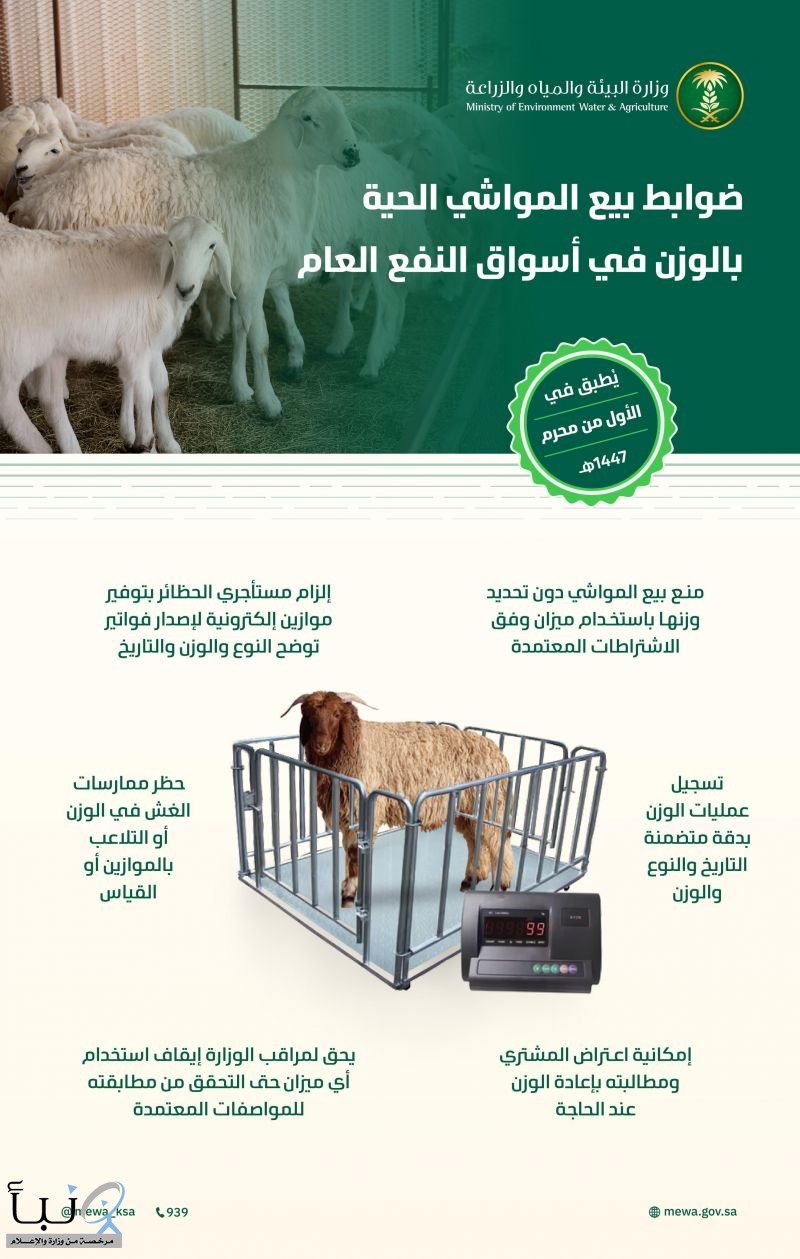 "البيئة" تُعلن ضوابط بيع المواشي الحية بالوزن وتبدأ تطبيق القرار الخميس المقبل في أسواق النفع العام