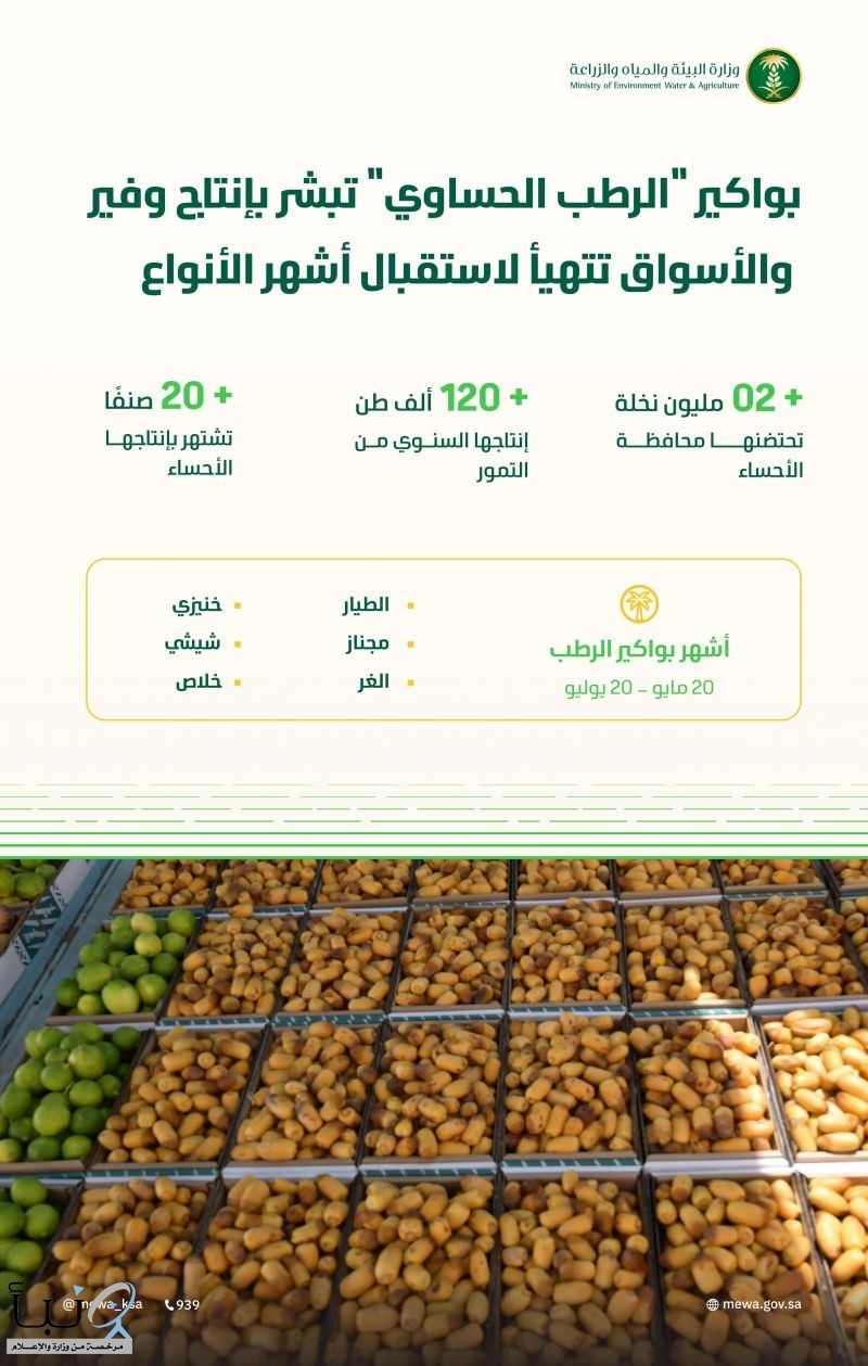 بواكير "الرطب الحساوي" تبشر بإنتاج وفير والأسواق تتهيأ لاستقبال أشهر أنواعه من الخلاص والشيشي والغر