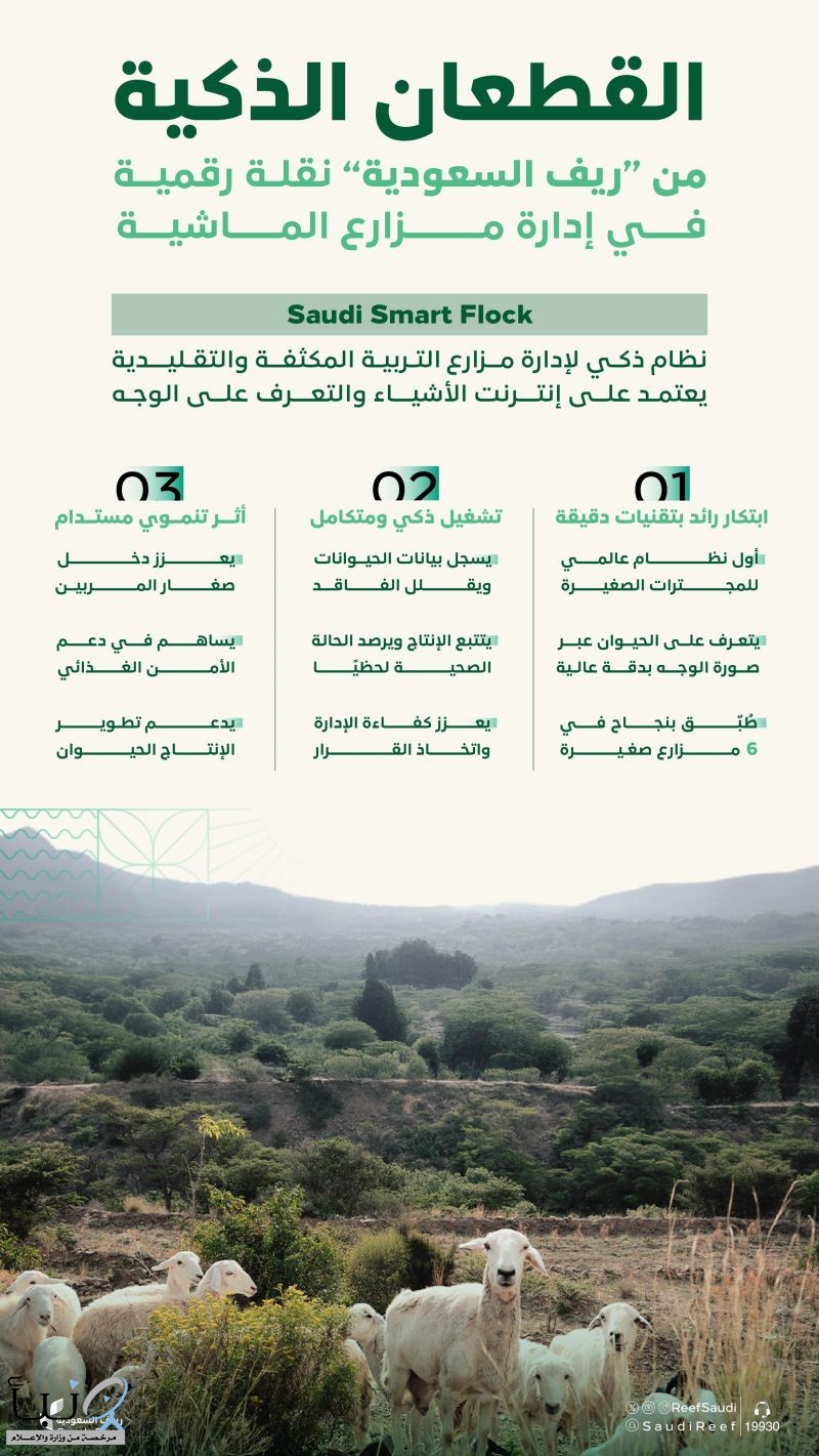 "ريف السعودية": تطبيق نظام (القطعان الذكية) لأول مرة في إدارة مزارع التربية المكثفة للماشية باستخدام إنترنت الأشياء