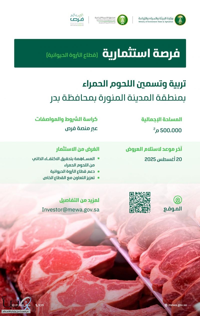 "البيئة" تعلن عن فرصة استثمارية واعدة لتربية وتسمين اللحوم الحمراء بالمدينة المنورة على مساحة تتجاوز نصف مليون متر مربع