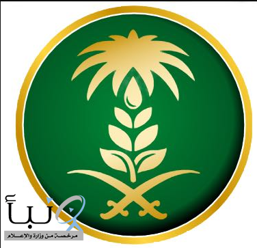 "البيئة" تدعو المبتكرين ورواد الأعمال للتقديم على برنامج البيئة التنظيمية التجريبية قبل 30 يوليو الجاري
