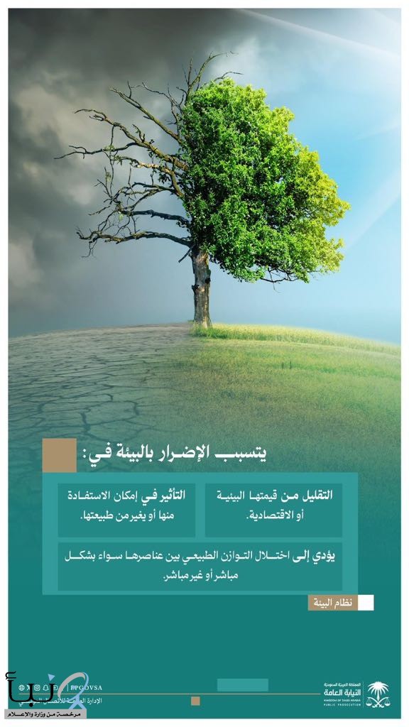 حذرت النيابة العامة في حساباتها على منصات التواصل الاجتماعي من أي ممارسات أو أفعال من شأنها الإضرار بالبيئة.