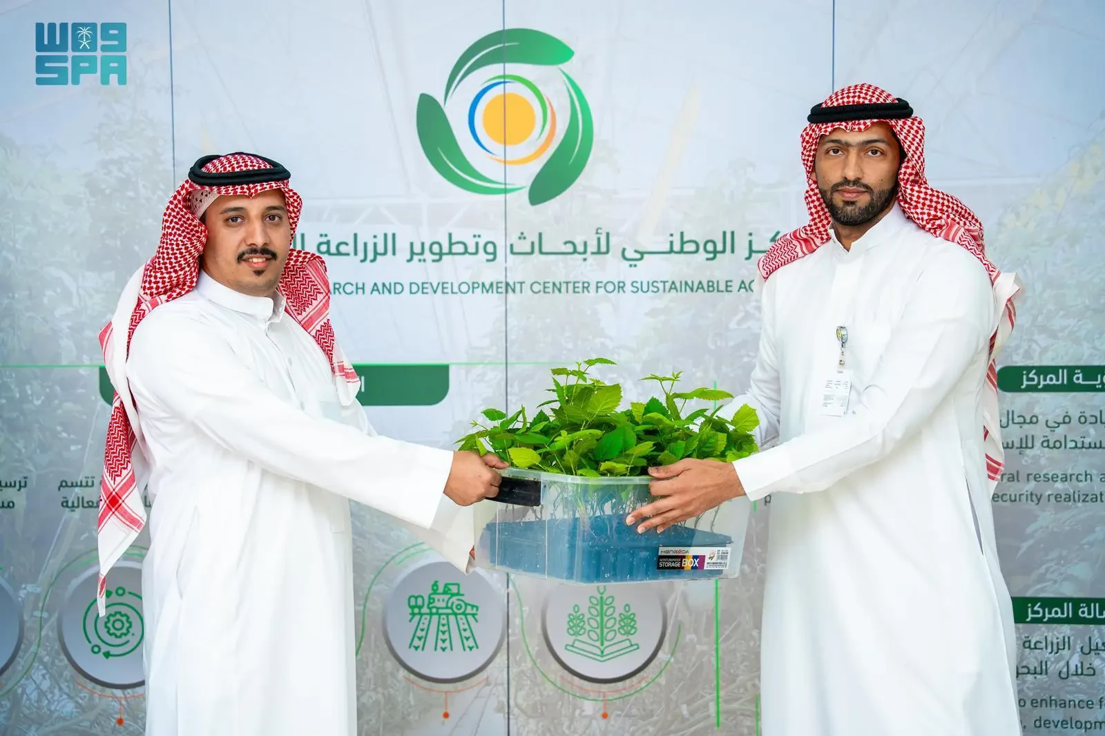 “استدامة” تدعم مزارعي الباحة بـ 19 ألف شتلة من البن والتوت الأسود المنتجة باستخدام تقنية الزراعة النسيجية