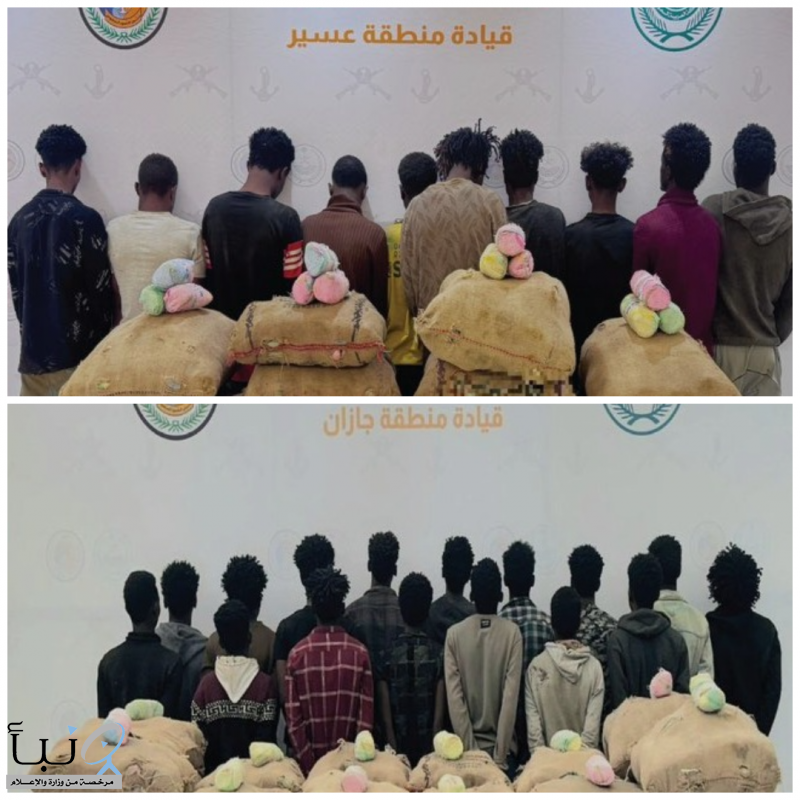القبض على مواطن و(26) مخالف من الجنسية الإثيوبية لترويجهم 456 كيلوجرامًا من نبات #القات المخدر