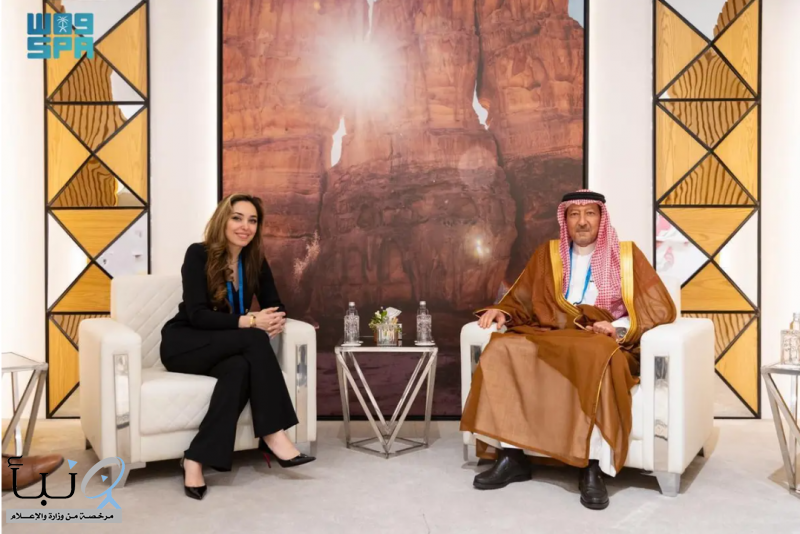 نائب وزير الخارجية يلتقي المسؤولة في مكتب شؤون الشرق الأدنى بوزارة الخارجية الأمريكية
