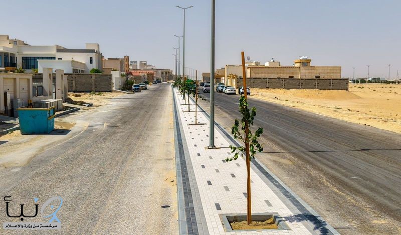 بلدية النعيرية: بدء زراعة 5000 شجرة لتعزيز جودة الحياة وأنسنة المدن