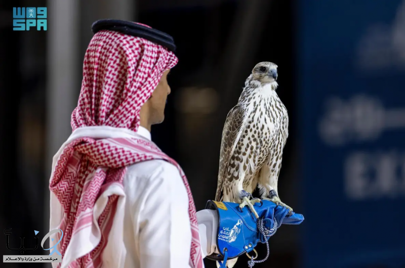 بيع 3 صقور بقيمة تقارب مليون ريال ضمن فعاليات معرض الصقور والصيد السعودي الدولي 2025