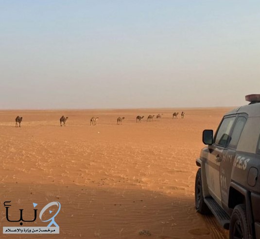 “الأمن البيئي” يضبط مواطنًا لارتكابه مخالفة رعي في محمية الإمام عبدالعزيز