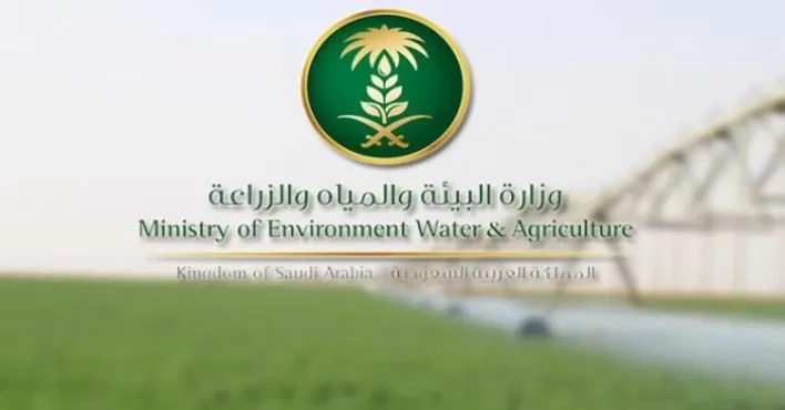 بمشاركة (27) مختصًا .. “بيئة الحدود الشمالية” تطلق حملة رقابية على (36) مسلخًا وسوقًا للنفع العام