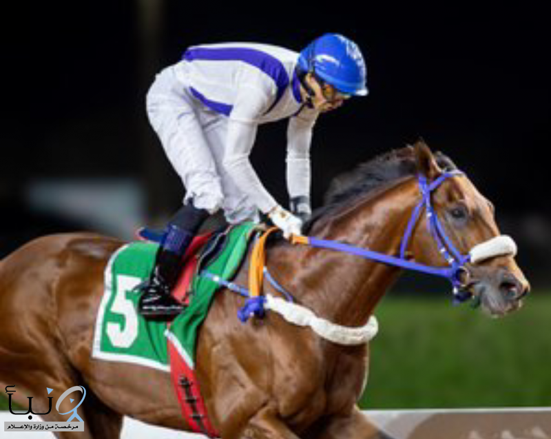 نادي سباقات الخيل يفتتح موسمه الجديد 2025-2026 بشعار “عِش وهج السرعة”