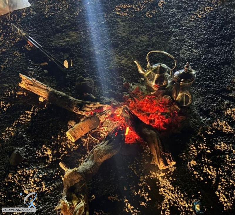 الأمن البيئي: ضبط مواطن أشعل النار في غير الأماكن المخصصة بالمدينة المنورة