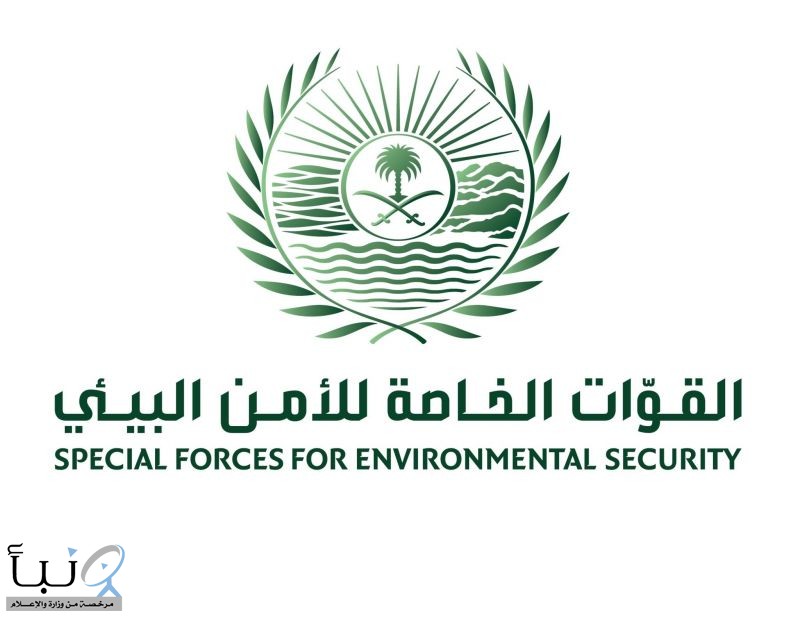 الأمن البيئي يضبط مخالفين لارتكابهم مخالفات رعي وإشعال نار ونقل حطب محلي وصيد محظور