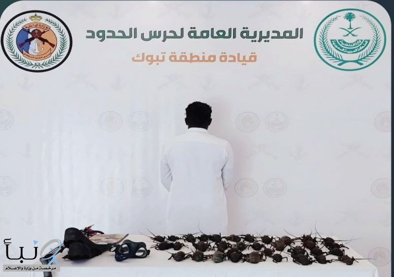 حرس الحدود يضبط مخالفًا للائحة الأمن والسلامة لمزاولي الأنشطة البحرية