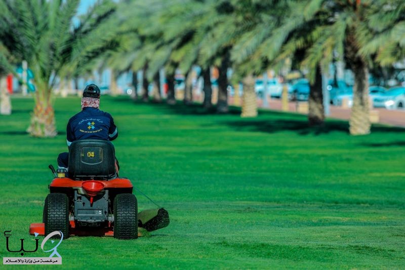 أمانة الشرقية تكشف عن أبرز منجزاتها في برنامج وخطة تحسين المشهد الحضري خلال شهر