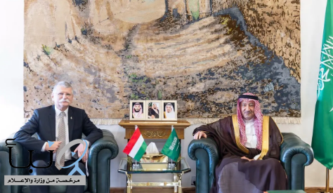 نائب وزير الخارجية يبحث تعزيز العلاقات مع رئيس برلمان المجر