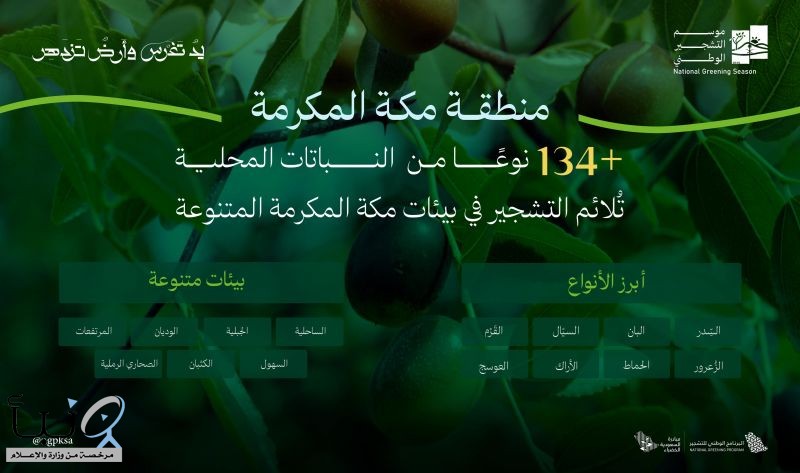 البرنامج الوطني للتشجير: تنوع بيئي فريد يُسهم في انتشار 134 نوع من النباتات المحلية الملائمة للتشجير في مكة المكرمة