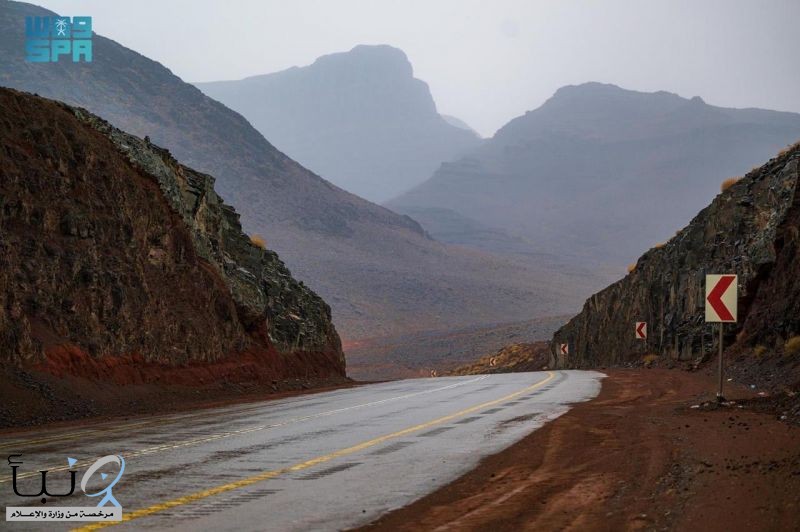 هطول أمطار على منطقة تبوك