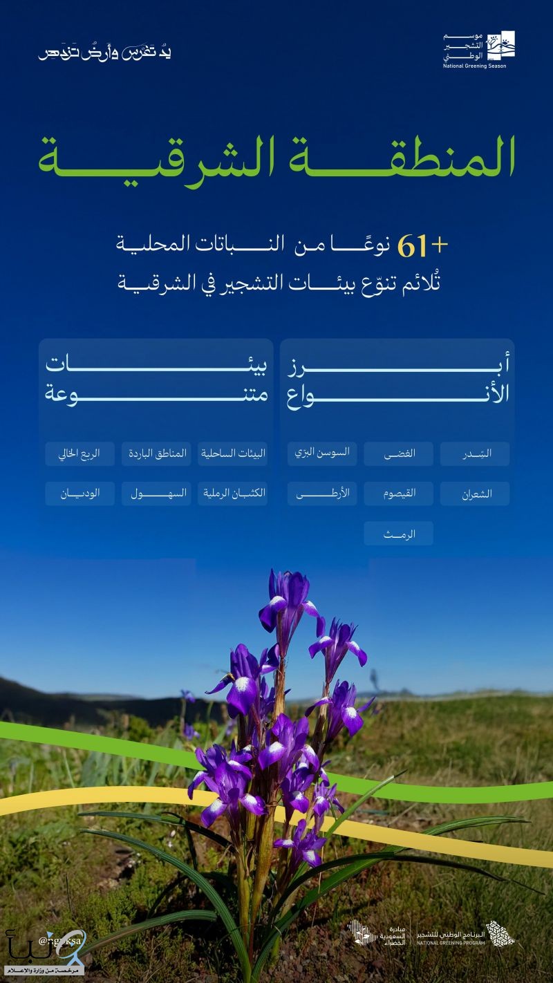 البرنامج الوطني للتشجير: انتشارٌ واسع لأكثر من 61 نوع من النباتات المحلية في بيئات الشرقية أبرزها السدر والوسن والغضى والأرطى والشعران البرنامج الوطني للتشجير: انتشارٌ واسع لأكثر من 61 نوع من النباتات المحلية في بيئات الشرقية أبرزها السدر والوسن والغضى والأرطى والشعران