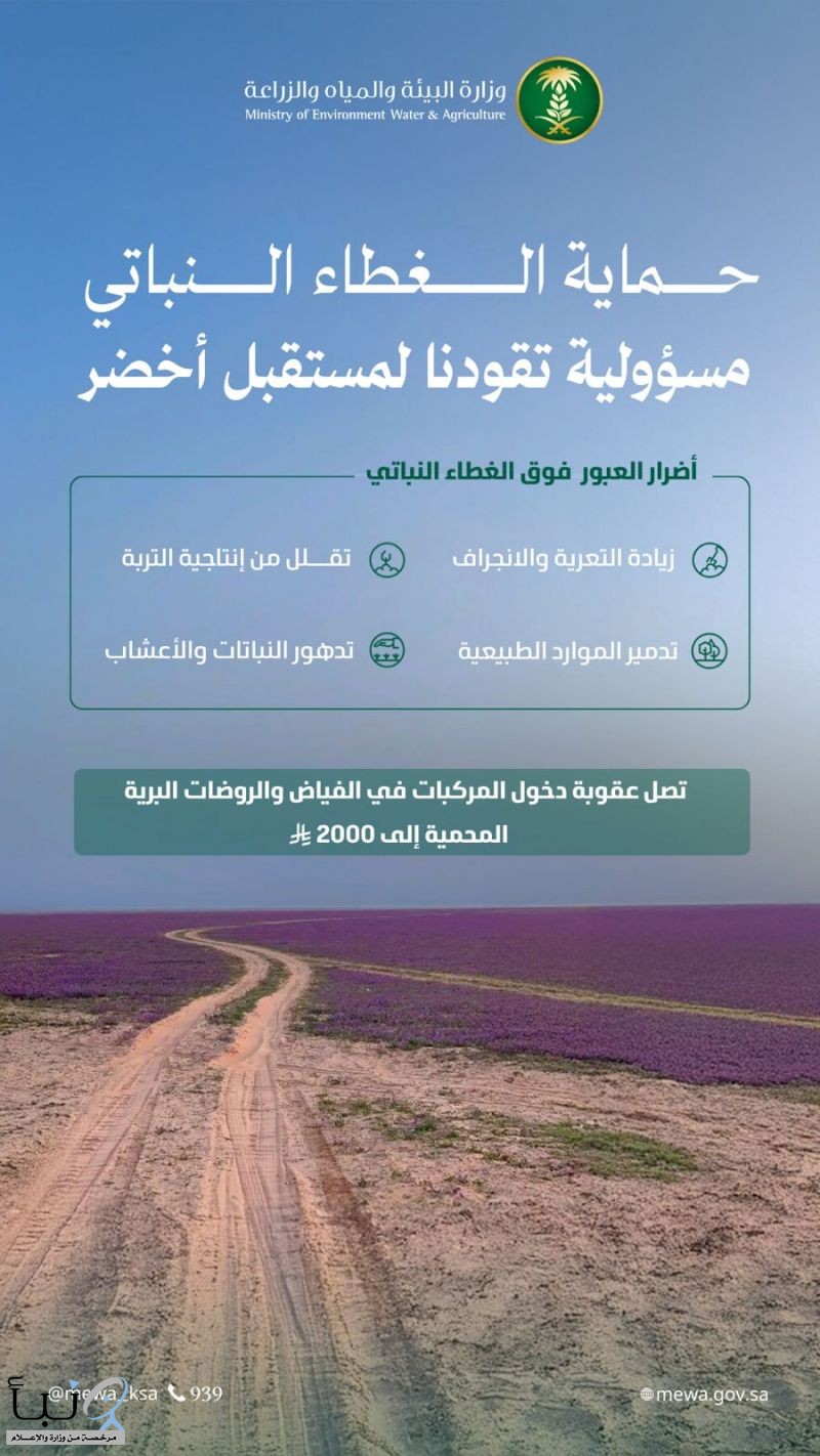 "البيئة" تشدد على حماية الرقعة الخضراء بالمملكة ومنع العبور العشوائي للمناطق البرية والمحمية أثناء التنزه في موسم الشتاء