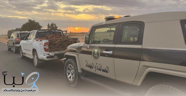 “دوريات المجاهدين” بحائل تضبط مواطناً مخالفاً لنظام البيئة بحوزته حطب محلي