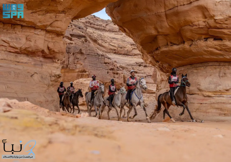 العُلا تستضيف كأس اللجنة الأولمبية والبارالمبية السعودية للقدرة والتحمل