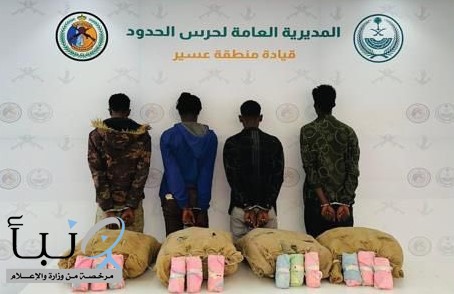 القبض على (4) مخالفين من الجنسية الإثيوبية لتهريبهم (80) كجم من القات المخدر