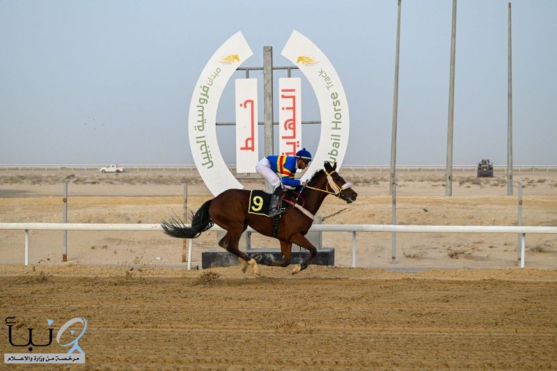 ميدان فيروسية الجبيل يقيم سباقه الثاني للموسم الحالي 1447