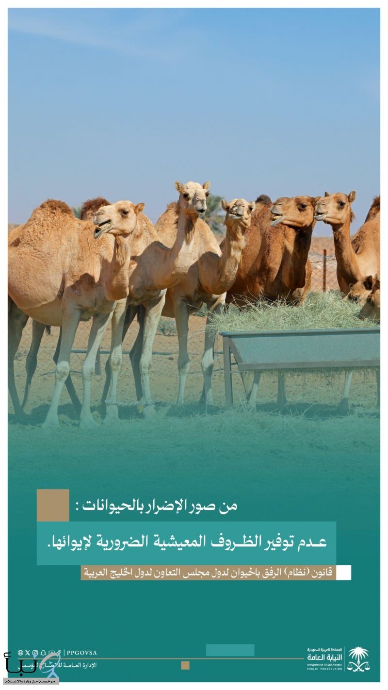 النيابة العامة تحذر من الإضرار بالحيوانات وتوضح مخالفات الرفق بها