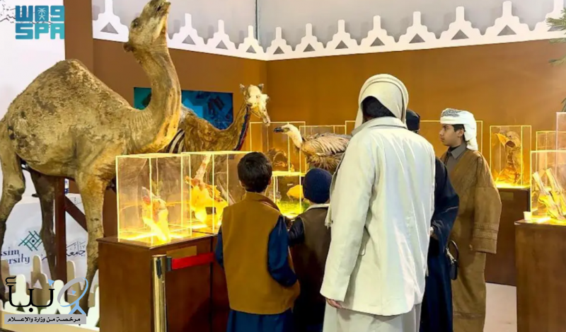 جناح إمارة منطقة القصيم في “واحة الأمن” يقدّم استشارات بيطرية ومجسمات تعليمية توعوية لملاك الإبل