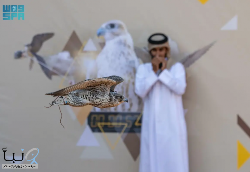 ختام منافسات الملاك الدوليين بمهرجان الملك عبدالعزيز للصقور 2025